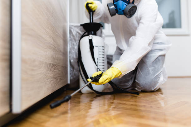 Best Wasp Removal Services  in Morehead, KY