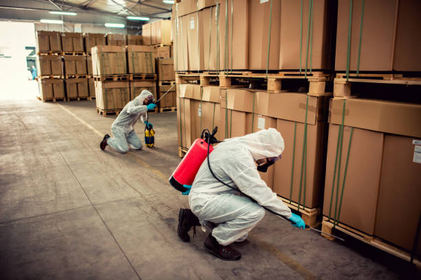 Best Best Pest Control Near Me  in Morehead, KY
