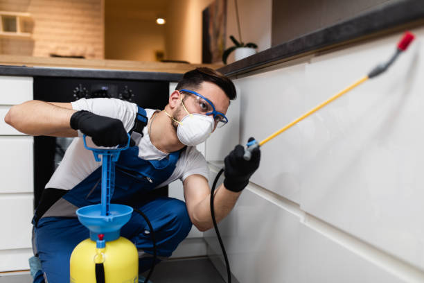 Best Pest Prevention Services  in Morehead, KY