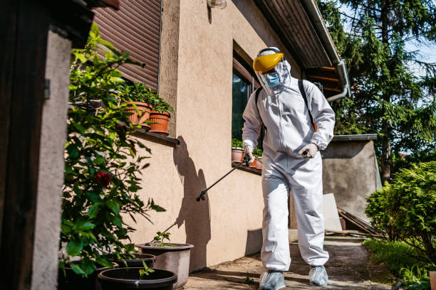 Best Best Pest Control Companies  in Morehead, KY