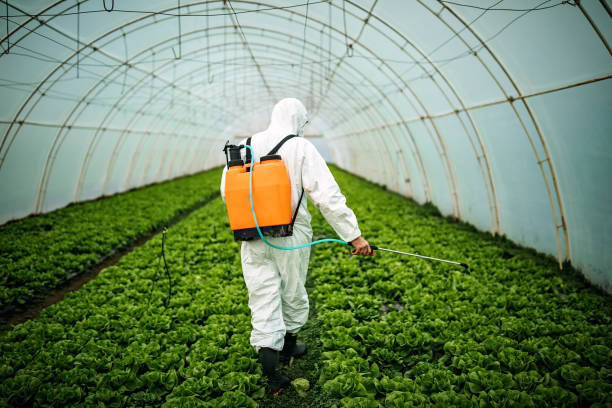 Best Pest Control Near Me in Morehead, KY