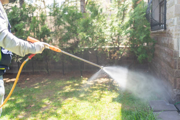 Spider Control Near Me in Morehead, KY