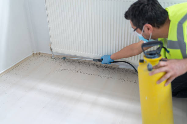 Best Pest Inspection Near Me  in Morehead, KY