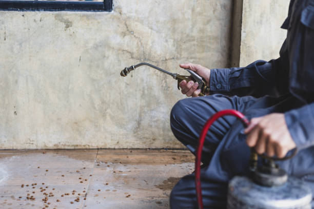 Best Mosquito Control Services  in Morehead, KY
