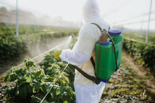 Best Pest Removal Services  in Morehead, KY